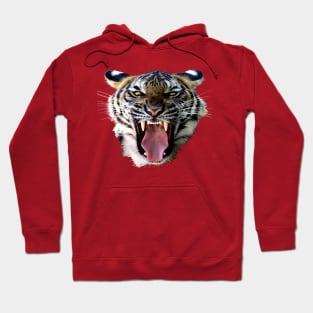 Tiger Hoodie